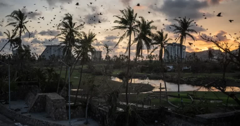 Morena y aliados donarán su salario para apoyar a Acapulco